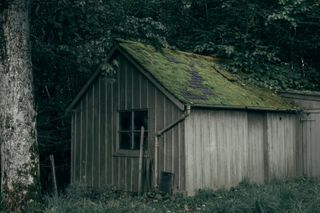 An old wood cabin with a mossy roof under trees