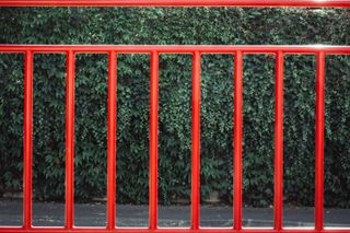 A wall of flora behind some red metal bars