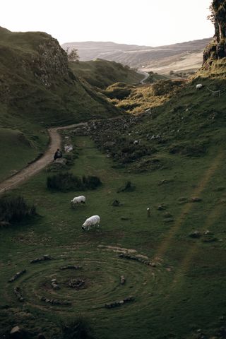 View on the fairy glens in the evening with some sheep grazing and a person dressed in black sitting on a rock alone