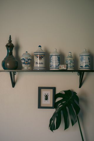Picture of a wall with a shelf and several medecine jars on it, a framed insect and a plant