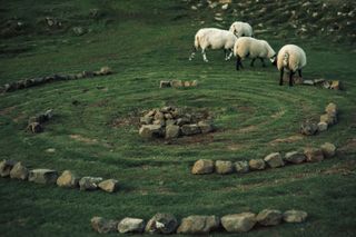 Pagan circle of stone on grass with sheeps nearby