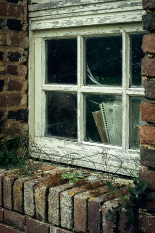 A used window of an old house with plants growing out of the bricks