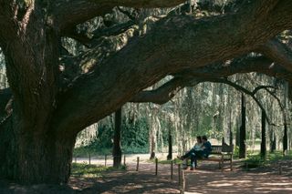 A couple enjoying the present moment sitting on a bench below a masssive weeping willow