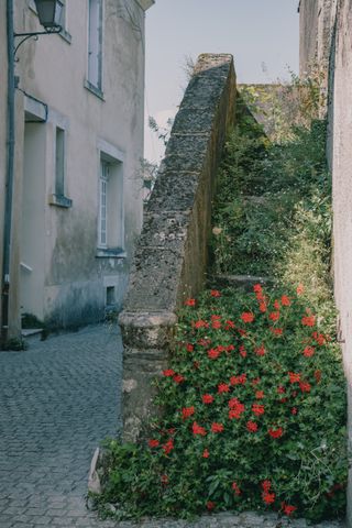 A stone stairway with flowery steps in a street
