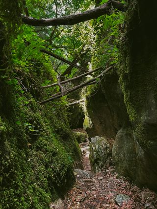 Path through a canyon