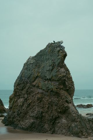 A massive emerging rock on a beach with a crow sitting at its top