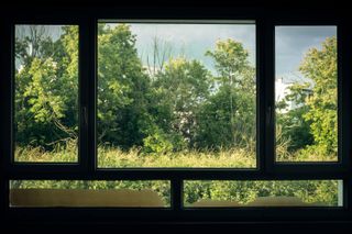 Picture of a window from inside a house with trees under the golden hour outside