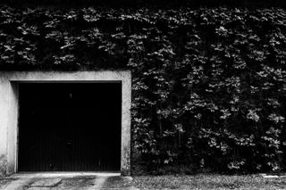 Black and white picture of a garage full of crawling plants
