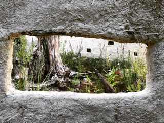 Small hole in a wall with a garden behind