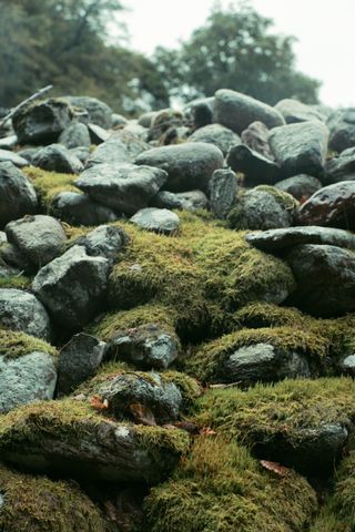 A lot of stacked stones progressively covered with moss