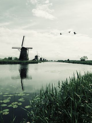 View on aligned windmills across a river on a sunny day