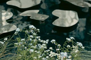 Some tiny white flowers in the foreground and a pond in the background with what seems like floating in the air, just above the water, some metal plates with various shapes.